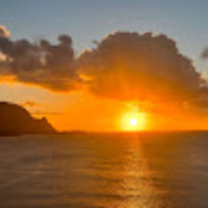 Meet your Posher, Bella